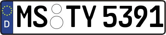 MS-TY5391