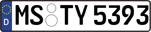 MS-TY5393