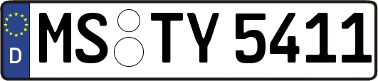 MS-TY5411