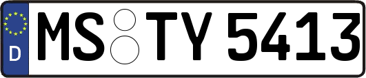 MS-TY5413