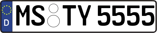 MS-TY5555