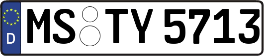 MS-TY5713
