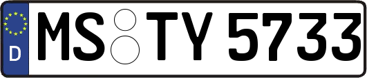 MS-TY5733