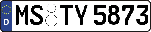 MS-TY5873