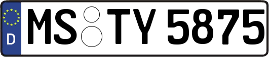 MS-TY5875