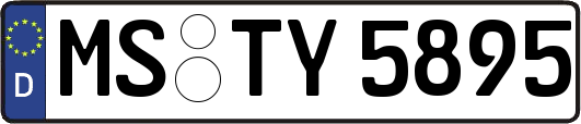 MS-TY5895