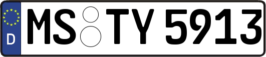 MS-TY5913