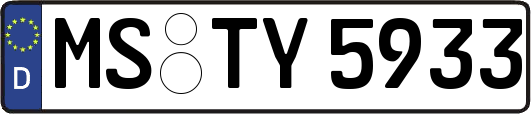 MS-TY5933