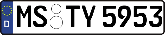 MS-TY5953