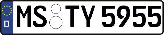 MS-TY5955