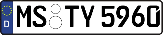MS-TY5960