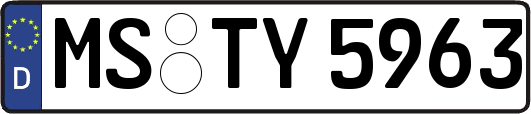 MS-TY5963