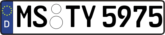 MS-TY5975