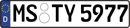MS-TY5977