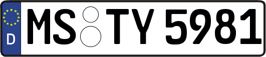 MS-TY5981
