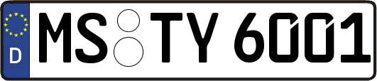 MS-TY6001