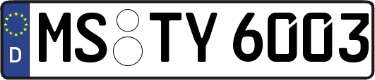 MS-TY6003