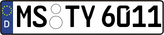 MS-TY6011