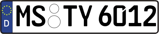 MS-TY6012