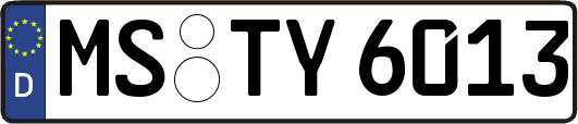 MS-TY6013