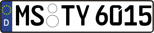 MS-TY6015