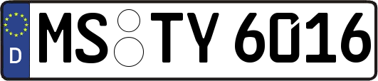 MS-TY6016
