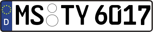 MS-TY6017