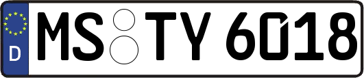 MS-TY6018