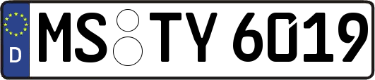 MS-TY6019