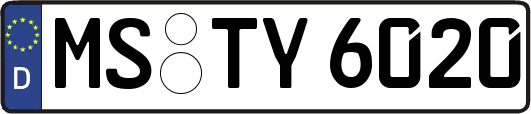 MS-TY6020