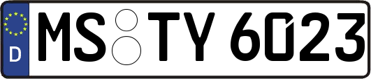 MS-TY6023