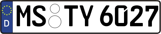 MS-TY6027