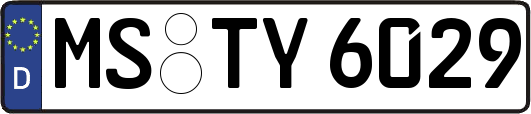 MS-TY6029