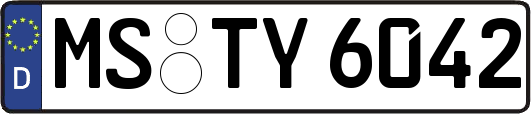 MS-TY6042