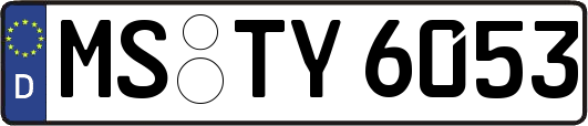 MS-TY6053