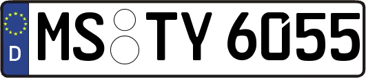 MS-TY6055