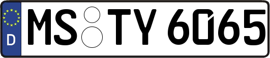 MS-TY6065