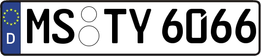 MS-TY6066