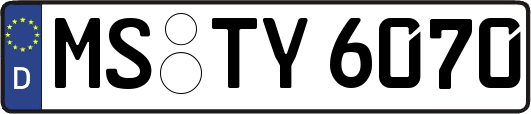 MS-TY6070