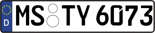 MS-TY6073