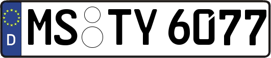 MS-TY6077