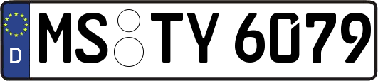 MS-TY6079