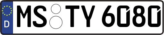 MS-TY6080