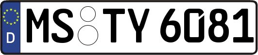 MS-TY6081