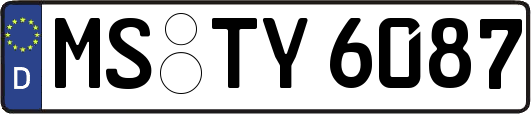 MS-TY6087
