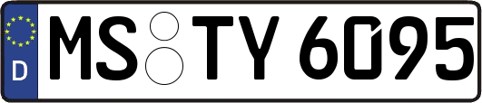MS-TY6095