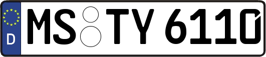 MS-TY6110