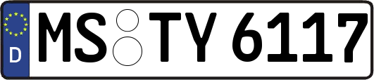 MS-TY6117