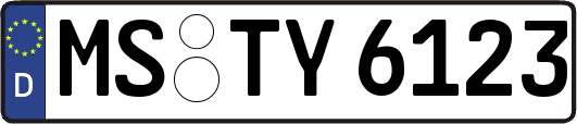MS-TY6123