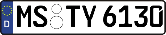 MS-TY6130